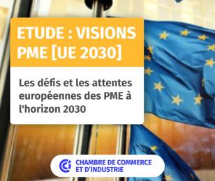 Pastille réseaux sociaux - Etude Visions PME UE 2030